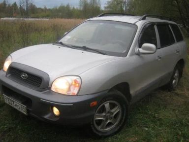 Hyundai Santa Fe, 2002
