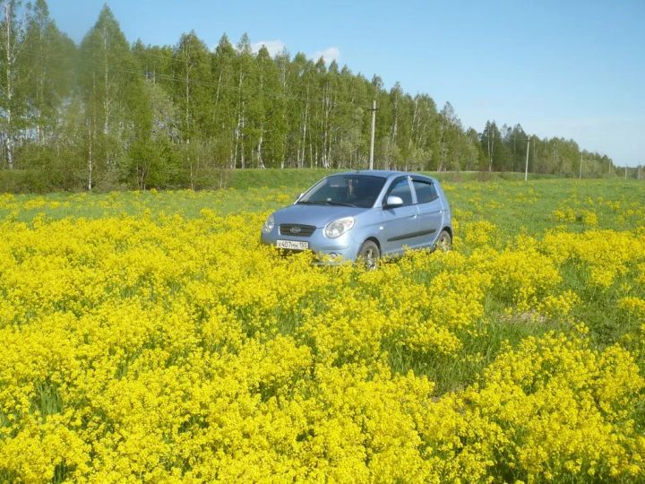 Киа пиканто иркутская область