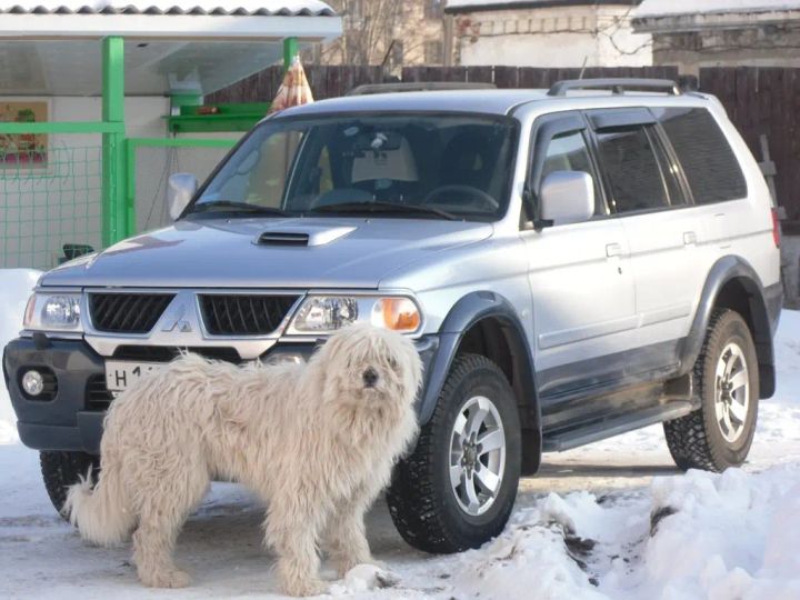 Автосалон митсубиси в новосибирске