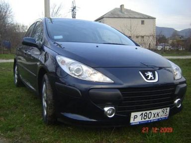 Peugeot 307, 2006