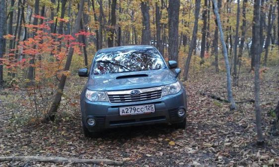 Subaru Forester 2009 -  
