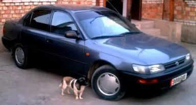 Toyota Corolla, 1995