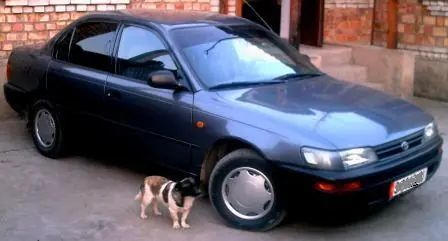 Toyota Corolla 1995 -  