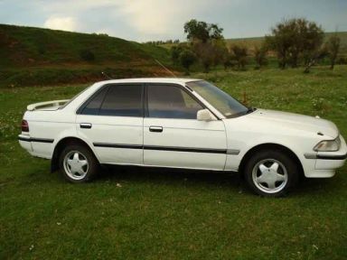 Toyota Corona, 1991