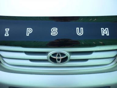 Toyota Ipsum 1997   |   11.12.2013.