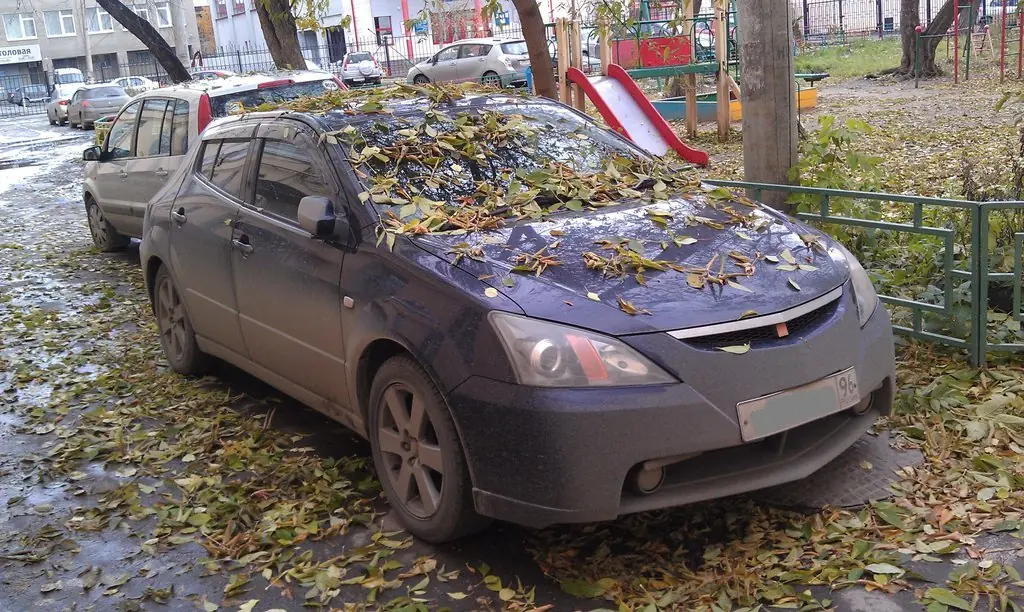 Тойота вилл вс разгон