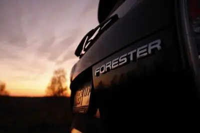 Subaru Forester  2,5- -  - Drom.ru.