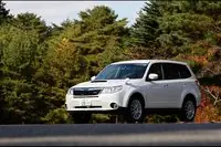 Forester tS —       Legacy 2.5GT tS,      STI.    31  2011 .